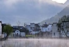 深圳茶香弥漫，预约探索茶文化圣地